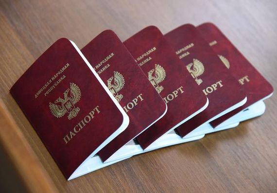 прописка в Электрогорске